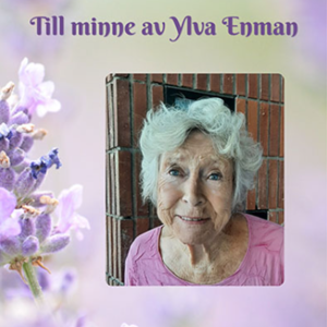 Ylva Enman